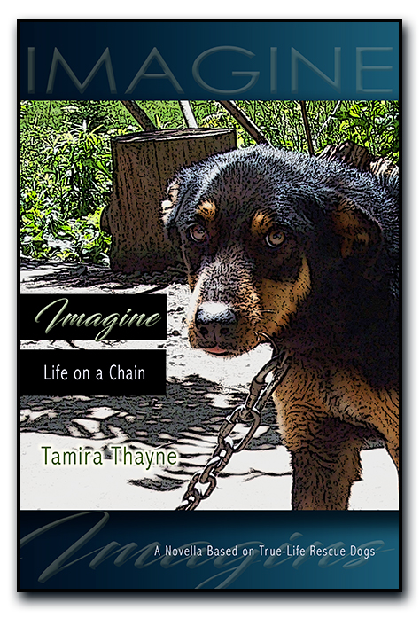 Imagine: Life on a Chain