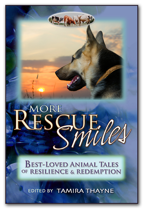 More Rescue Smiles